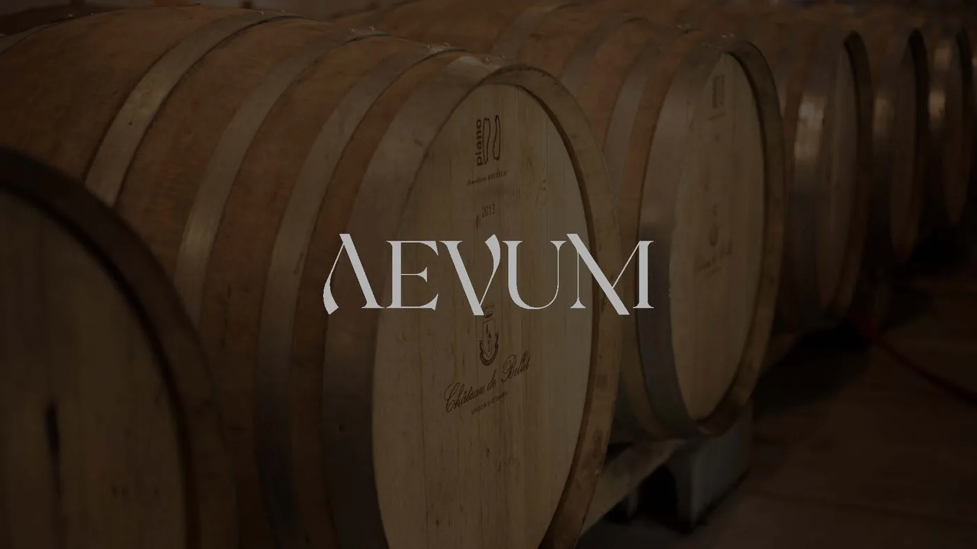 Aevum project image 2