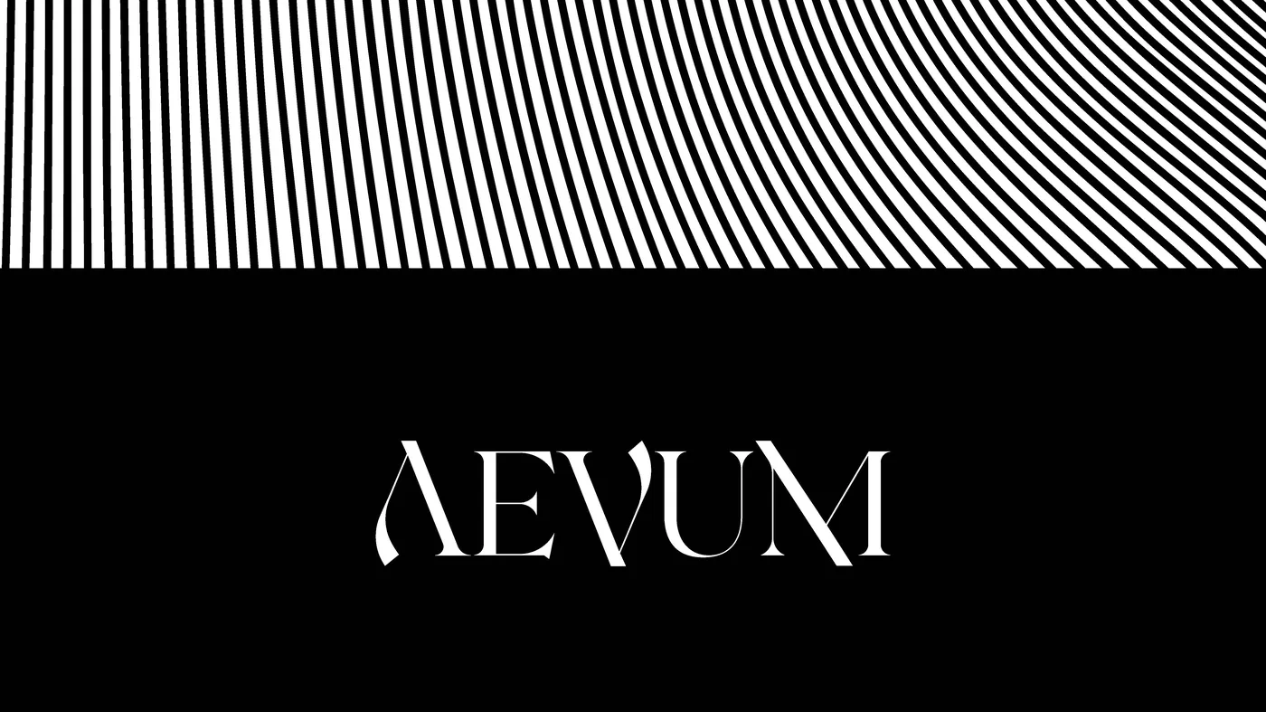 Aevum project image 3