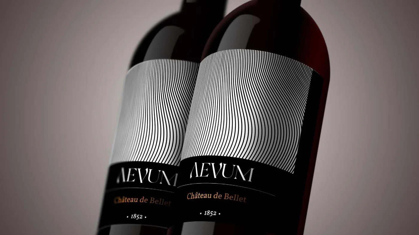 Aevum project image 5