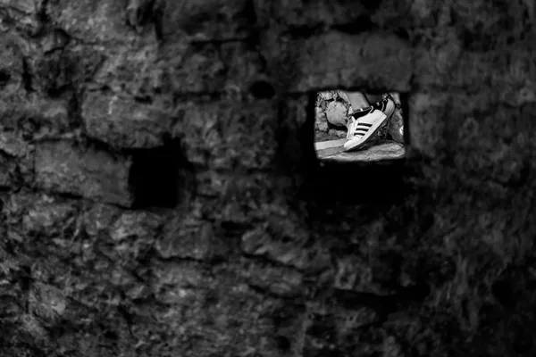 Photography gallery image 3