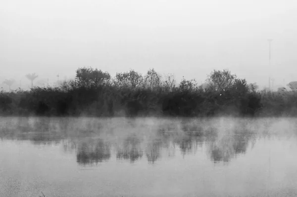 Photography gallery image 10