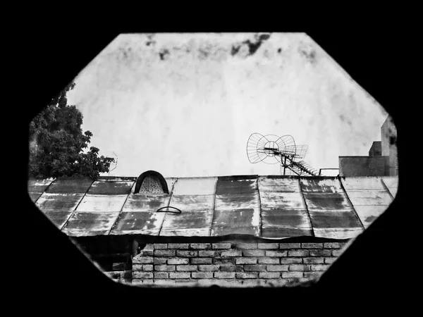 Photography gallery image 27
