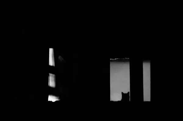 Photography gallery image 33