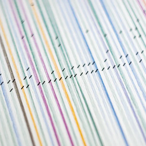 WKW data art project preview