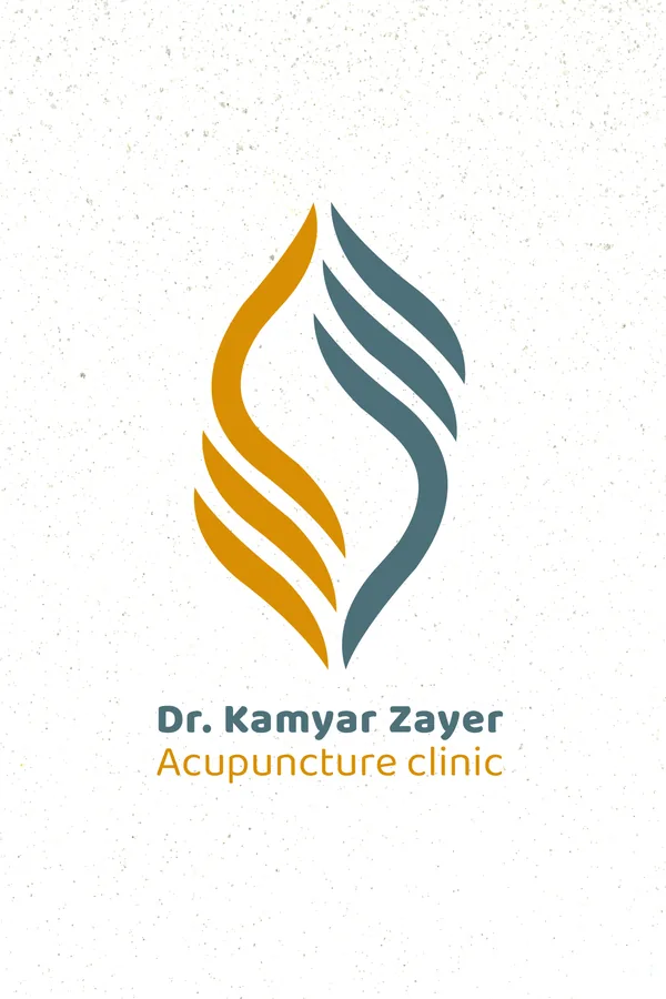 Dr. Kamyar Zayer clinic identity preview